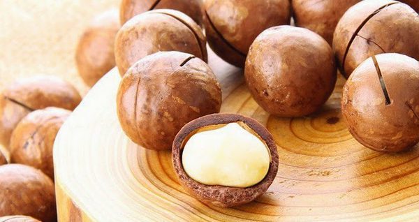 Tìm hiểu chi tiết nguồn gốc của hạt mắc ca